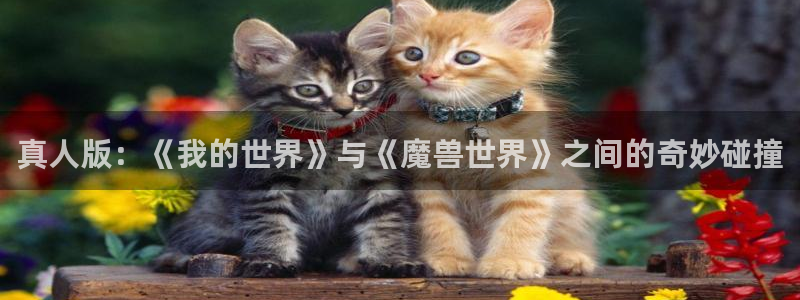 羞羞漫画在线进入：真人版：《我的世界》与《魔兽世界》之间的奇妙碰撞