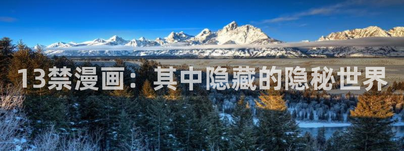 27报羞羞漫画：13禁漫画：其中隐藏的隐秘世界