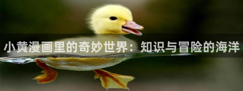 羞羞漫画瑞丽网：小黄漫画里的奇妙世界：知识与冒险的海洋
