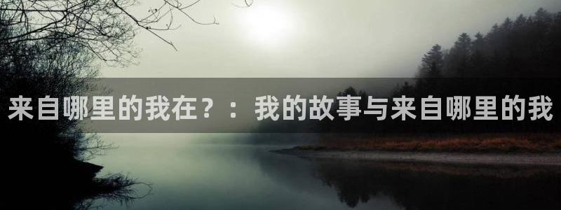 羞羞漫画ssss：来自哪里的我在？：我的故事与来自哪里的我
